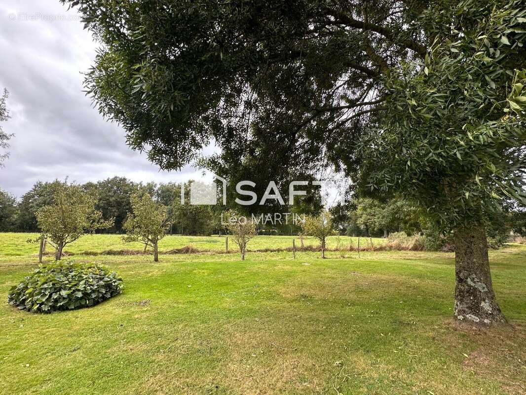 Photo 4 - Maison à SAINT-MACAIRE-EN-MAUGES