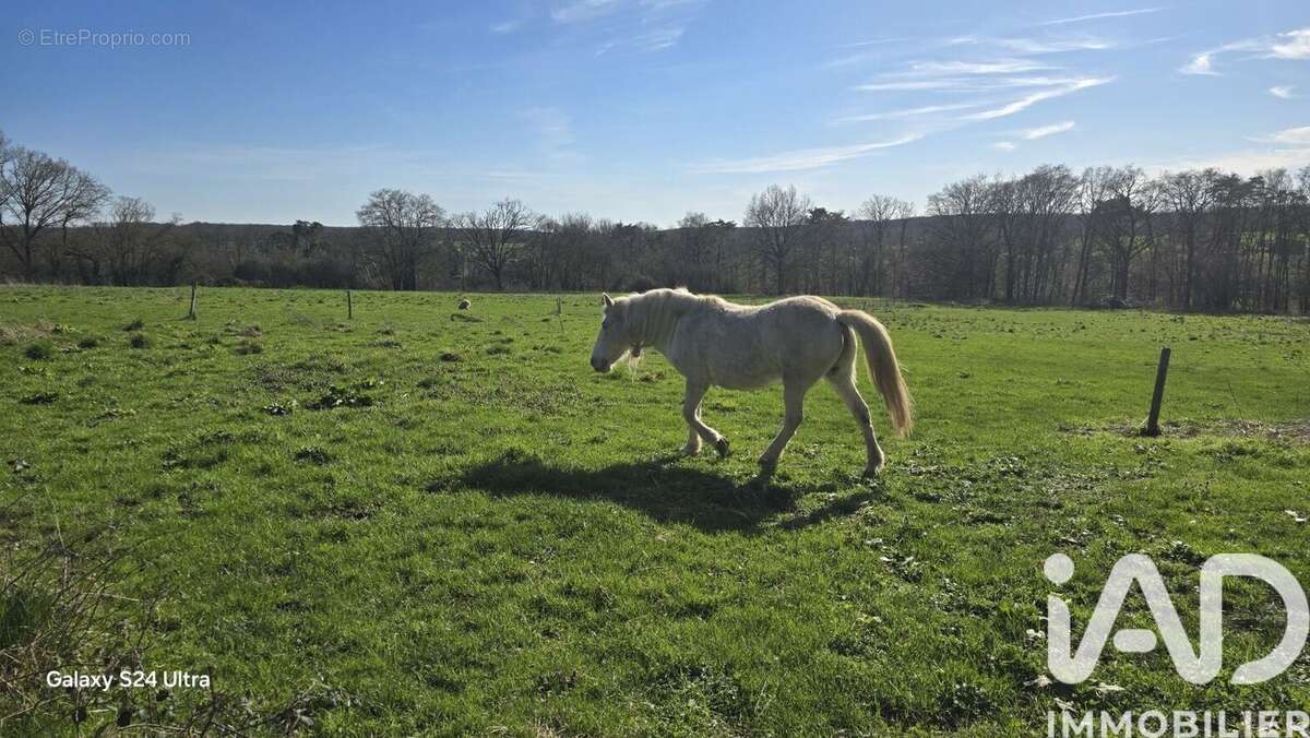 Maison 236 m² à Isle-Et-Bardais  - photo 2