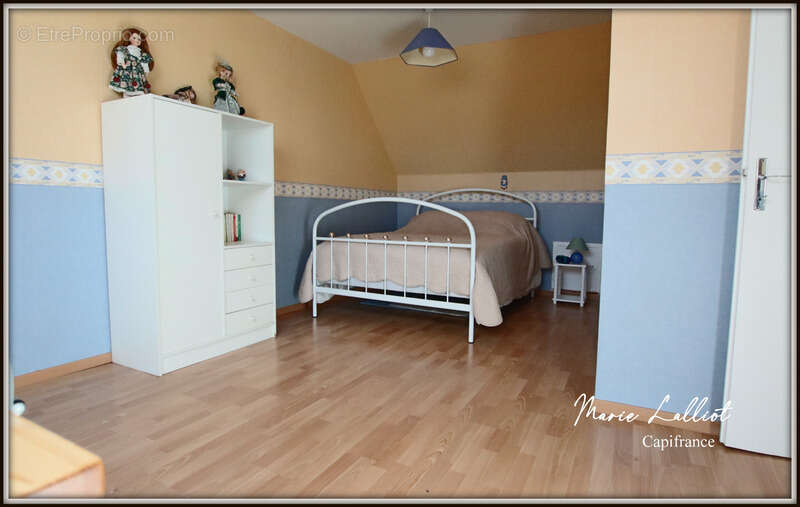 Maison à PITHIVIERS-LE-VIEIL