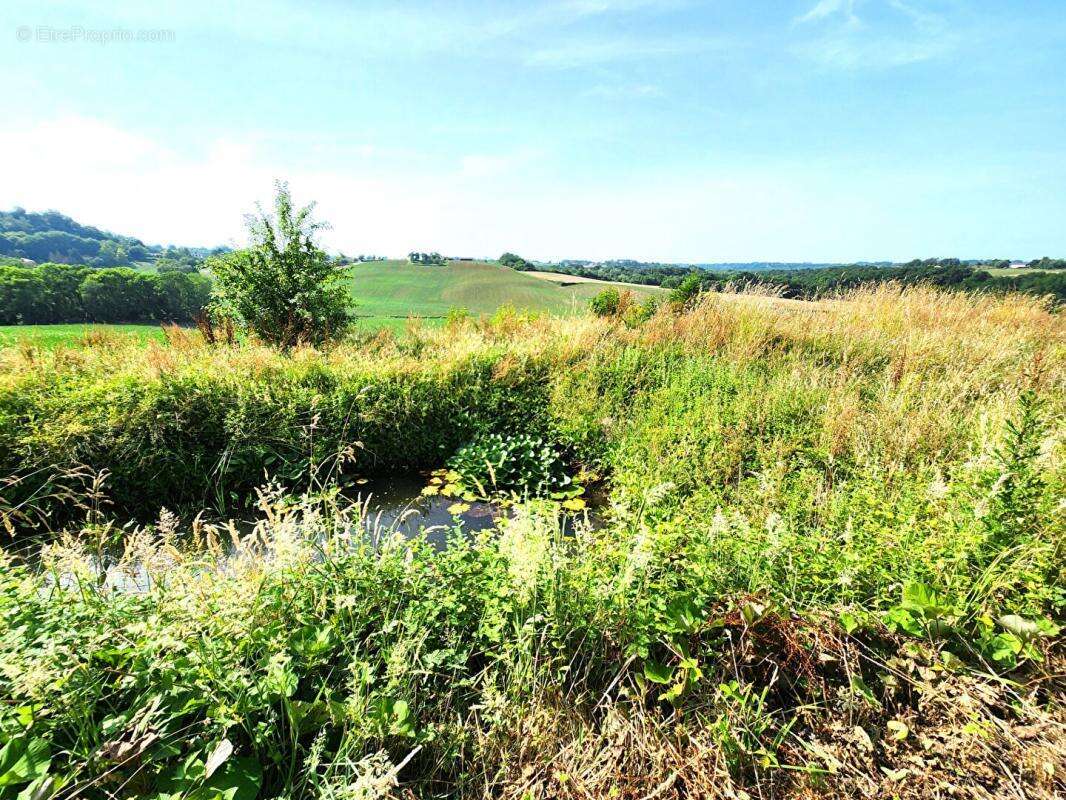 Maison à MONTFORT-EN-CHALOSSE
