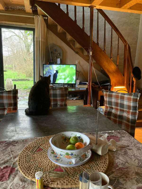 Maison à SAINT-FORT-SUR-GIRONDE