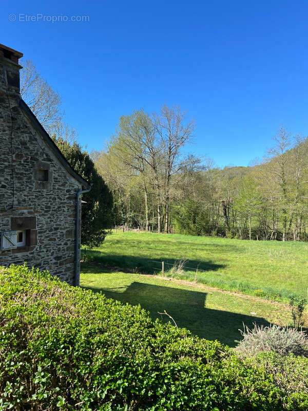 Charmante maison albignac - photo 2