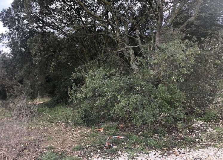 Terrain à LA BAUME-DE-TRANSIT