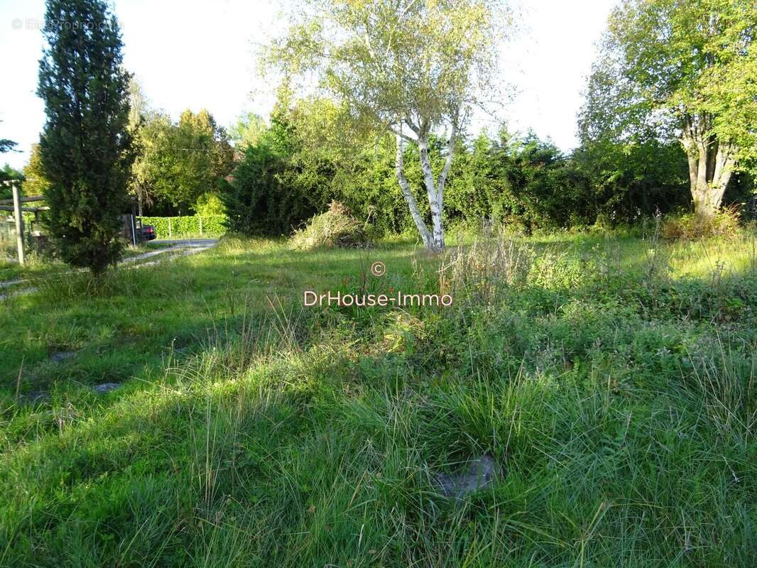 Terrain à SAINT-SAVIN