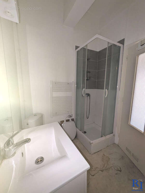 Salle de douche fonctionnelle - Appartement à GRENOBLE