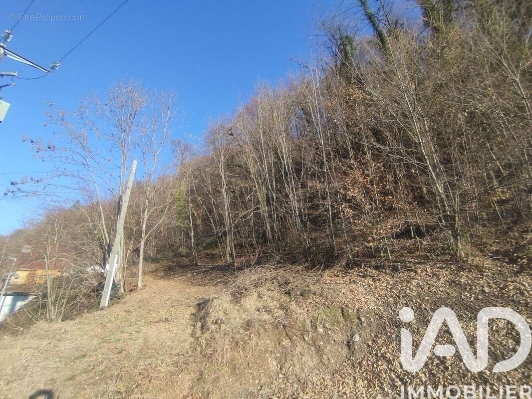 Photo 4 - Terrain à CESARCHES