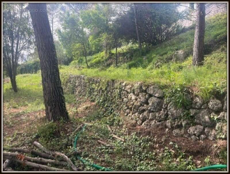 Terrain à GRASSE