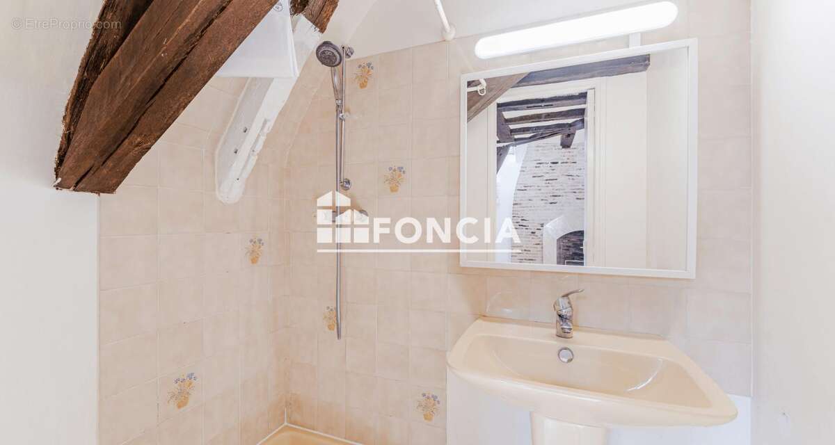 Quartier historique tours centre  - spacieux appartement f1 - proximite place plumereau - ideal investissement locatif - photo 4