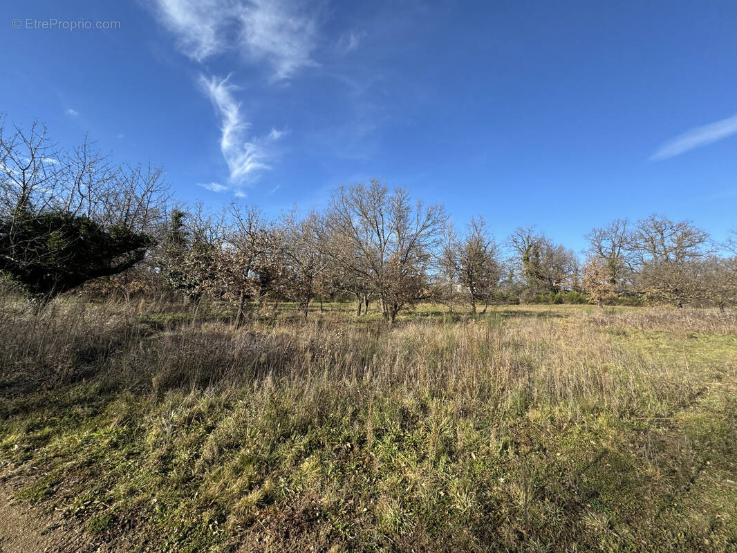 Terrain à ROIFFIEUX