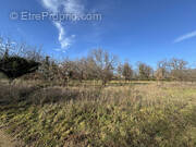 Terrain à ROIFFIEUX