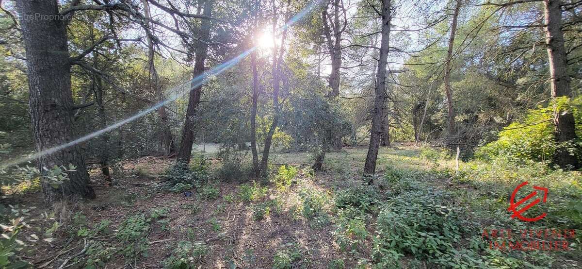 Terrain à CARCASSONNE