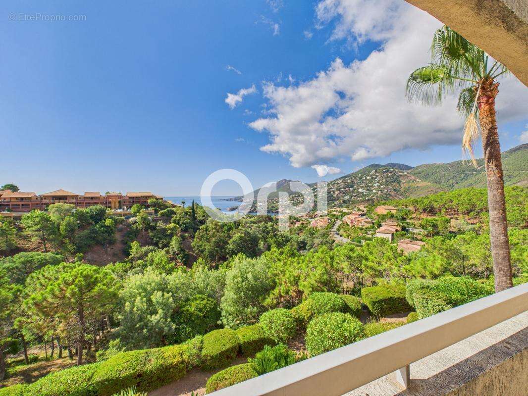 Appartement à THEOULE-SUR-MER