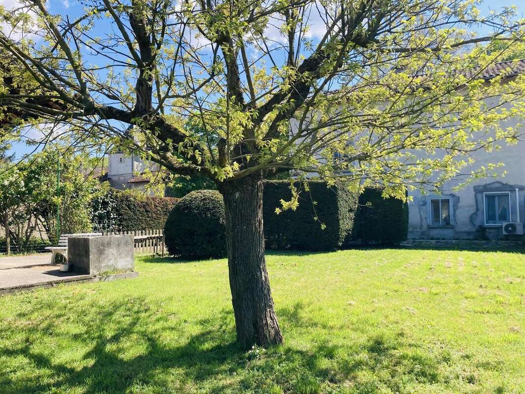 Photo 3 - Maison à CHATONNAY