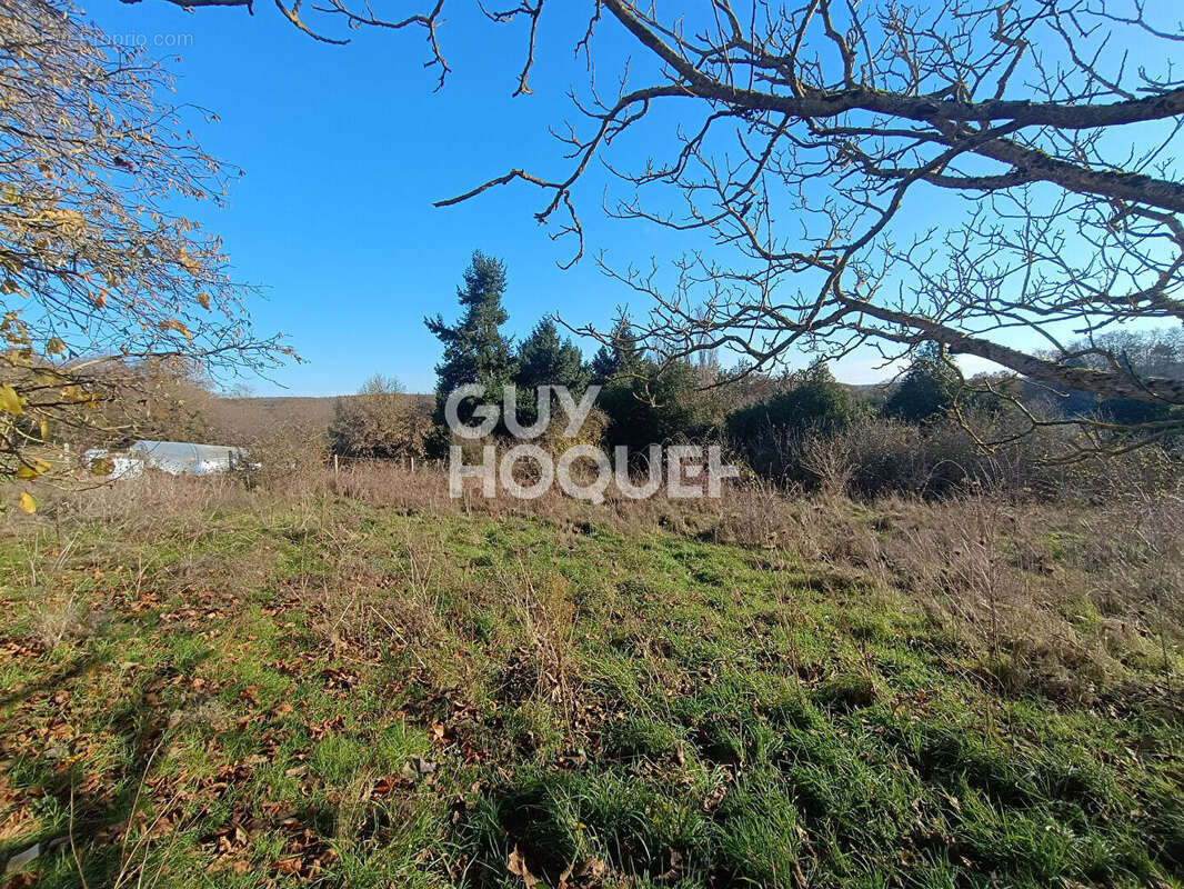 Terrain à SAULNIERES