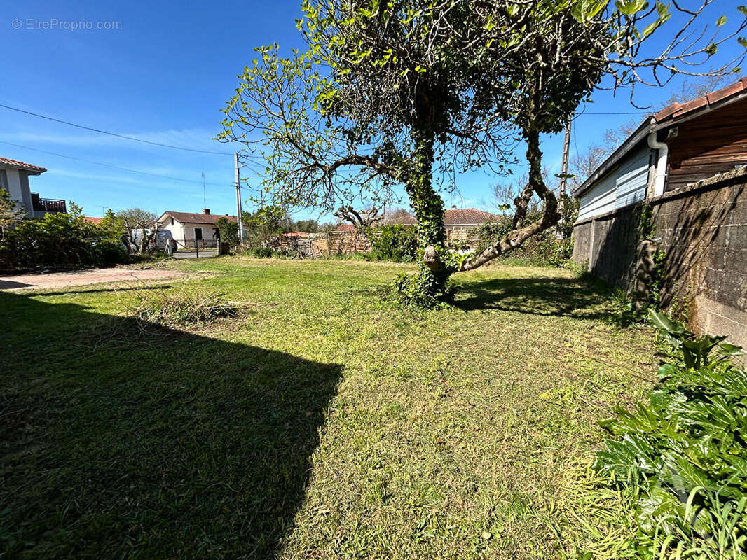 Terrain à SOUSTONS
