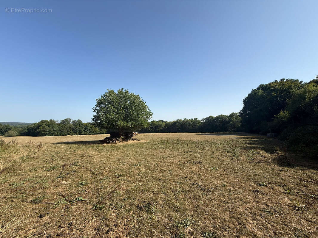 Maison à SAINT-AQUILIN-DE-CORBION