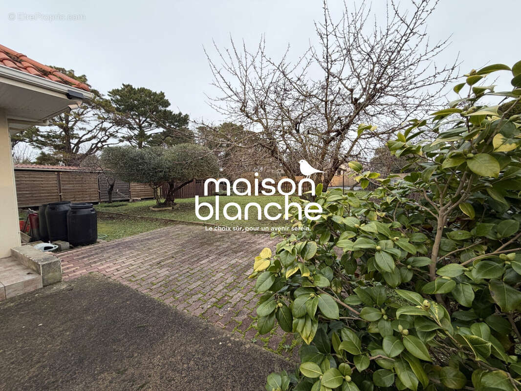 Maison à L&#039;ILE-D&#039;OLONNE