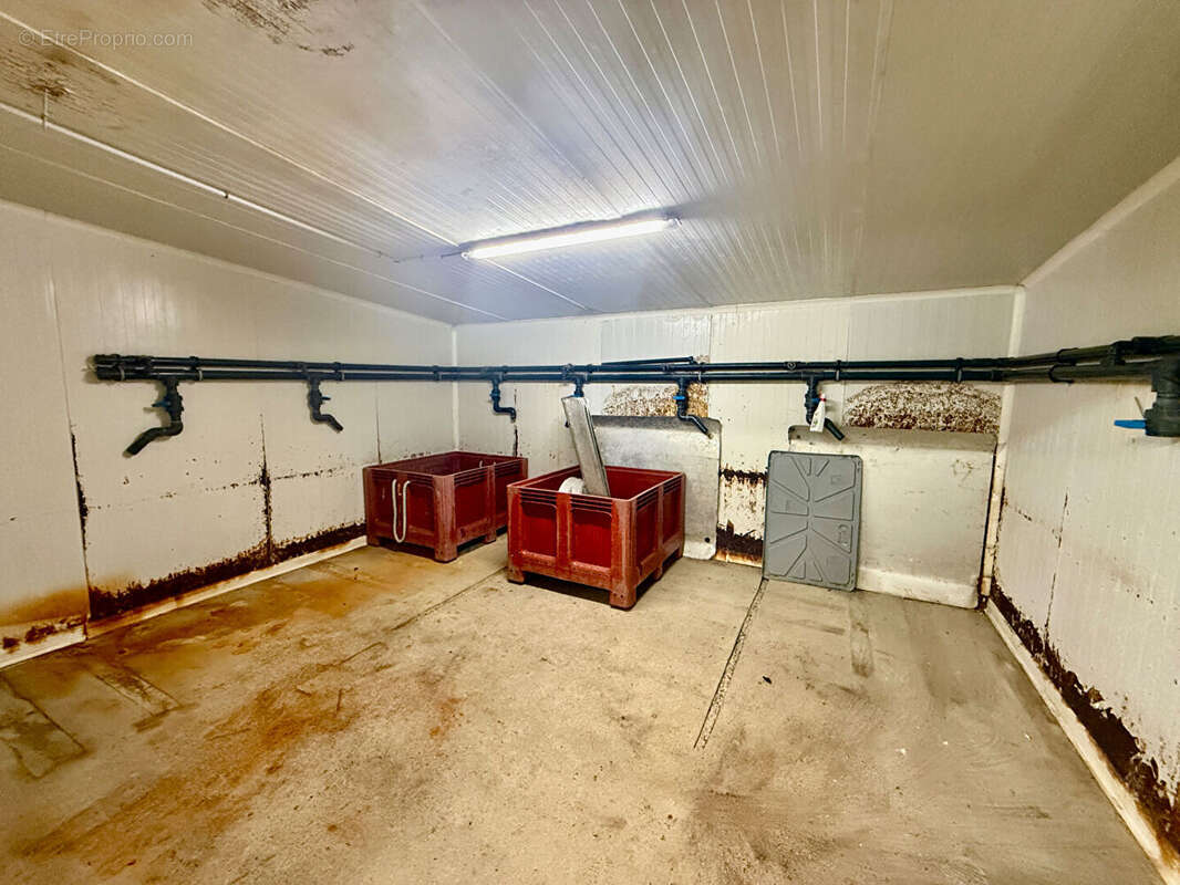 Commerce à SAINT-MALO