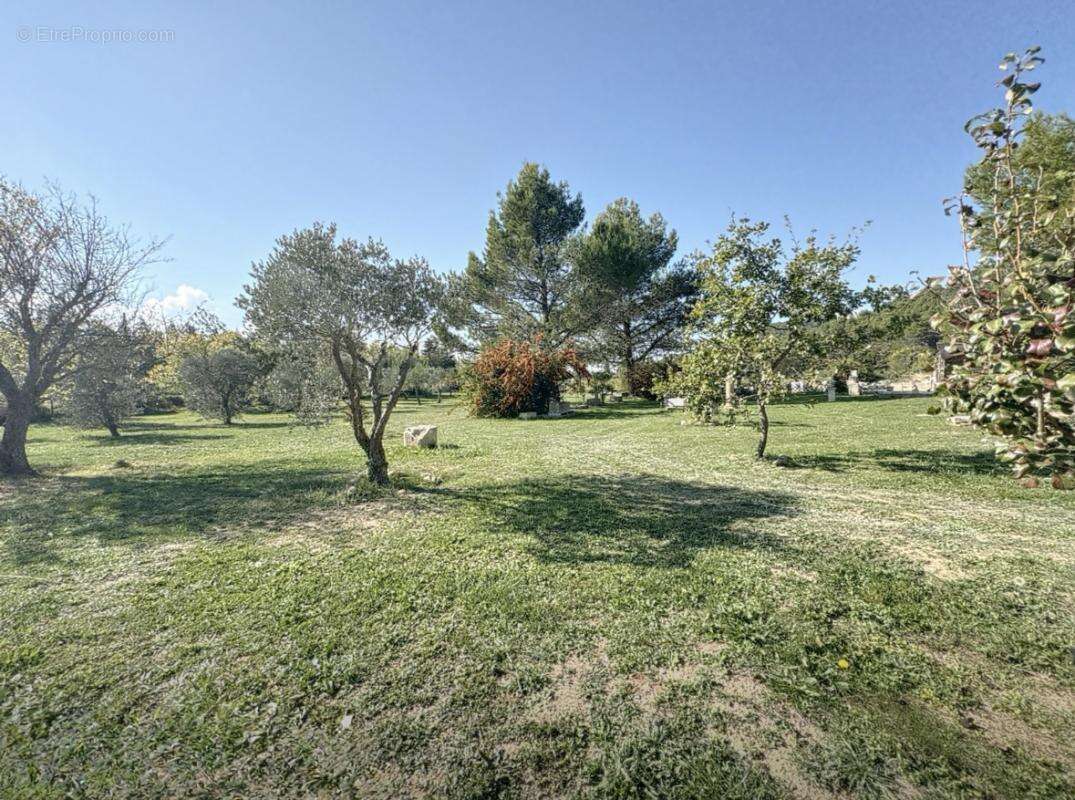 Maison à CHEVAL-BLANC