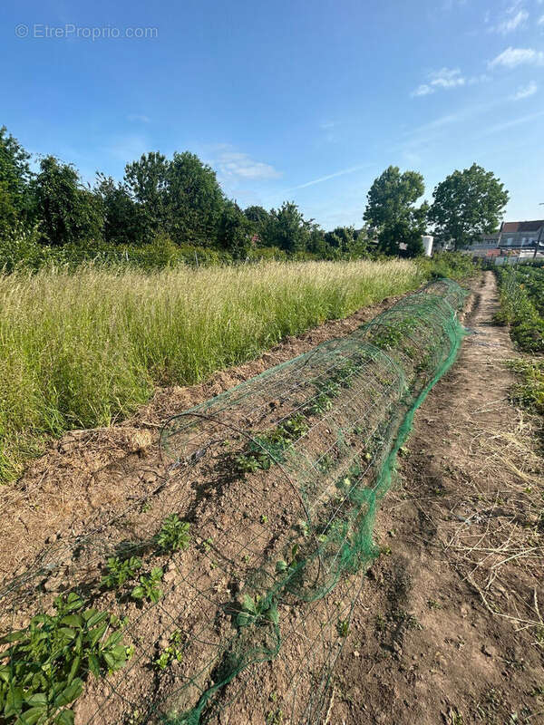 Terrain à BAPAUME