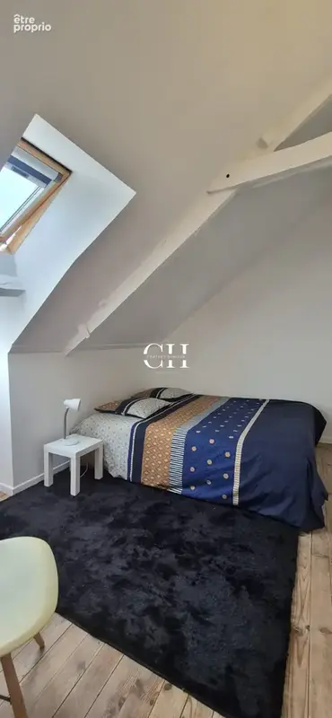 Maison d'habitation avec T4 + studio / Secteur Saint-Vran - photo 21