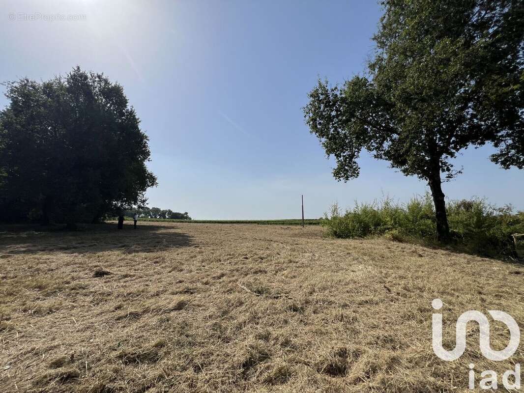 Photo 5 - Terrain à BELLEBAT