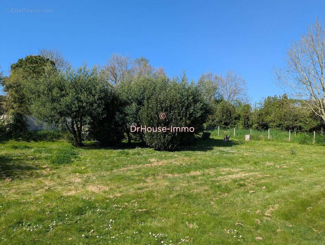 Terrain à L&#039;ILE-D&#039;OLONNE