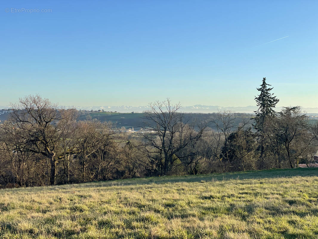 Terrain à QUINT-FONSEGRIVES