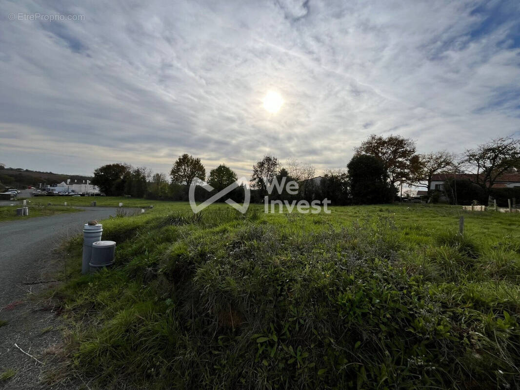 Terrain à MOUCHAMPS