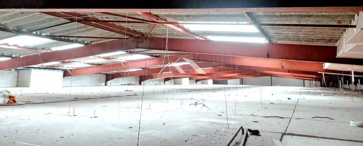 Commerce à SAINT-HILAIRE-DE-BRETHMAS