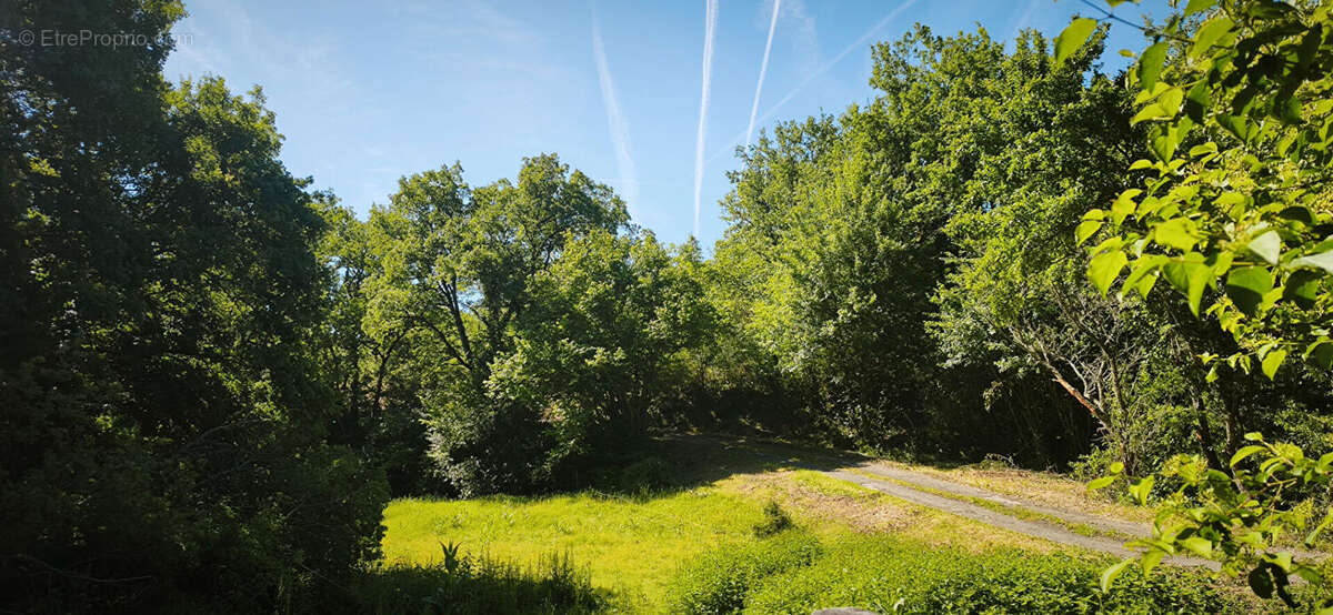 Propriété agricole sur environs 22 hectares de bois et de prairie. - photo 10