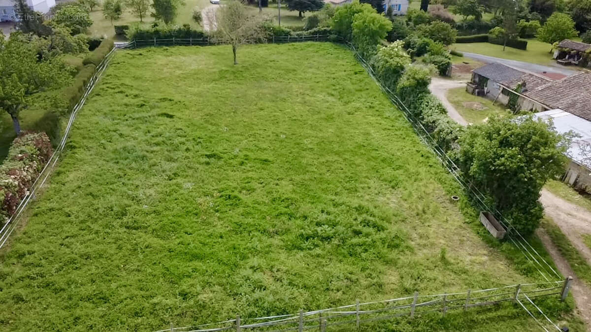 Terrain à COULON