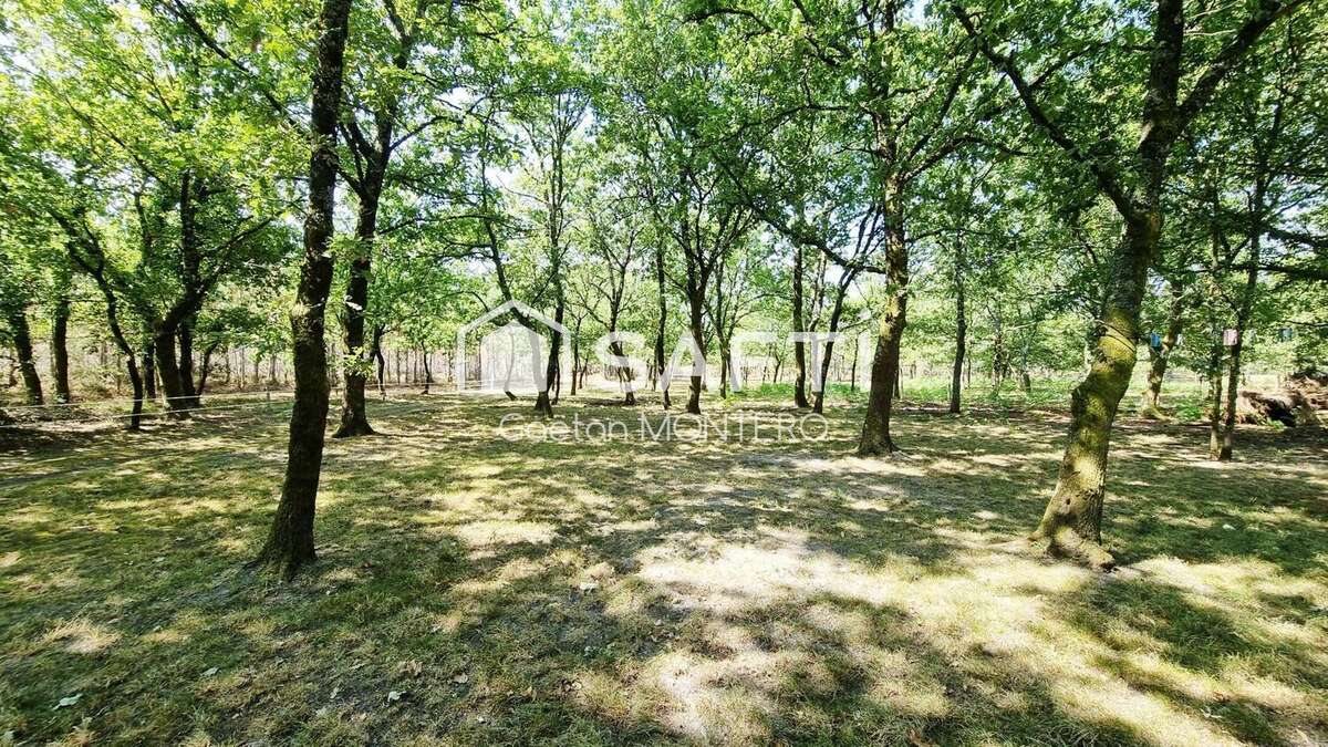 Photo 2 - Maison à ONESSE-ET-LAHARIE