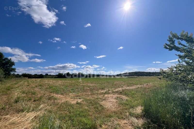 Parcelles agricoles 12 000 m² - JUNAS (GARD) - photo 4