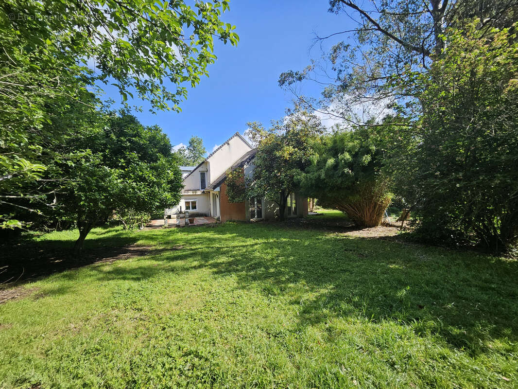 Maison de 224 m2 avec beau potentiel   Terrain de 1 334 m2 - photo 2