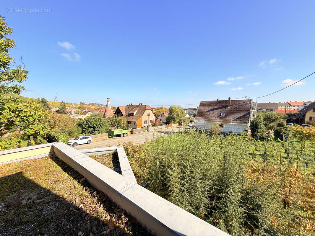 Maison à RIBEAUVILLE