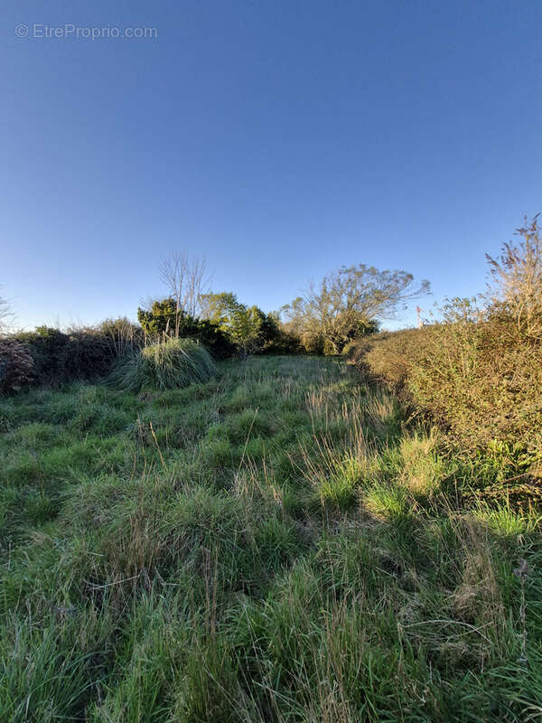 Maison à SAINT-POL-DE-LEON