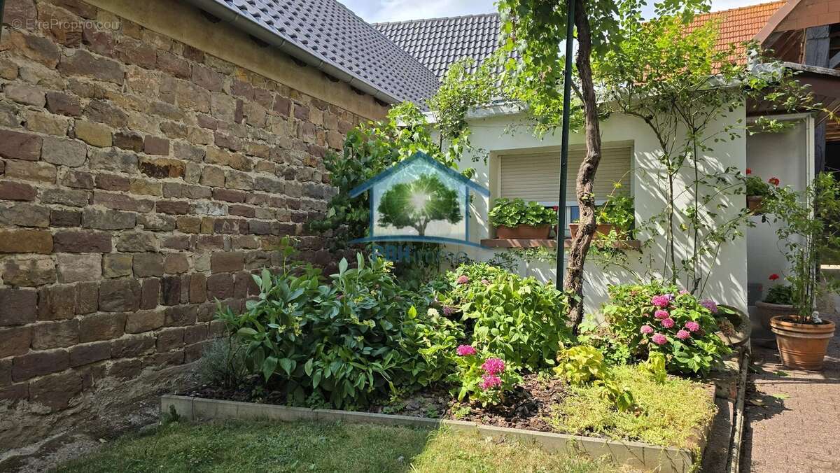 Gunstett - maison 135 m² avec dependances - photo 9
