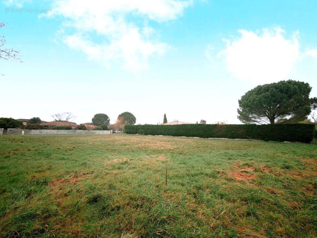 Terrain à LA SALVETAT-SAINT-GILLES