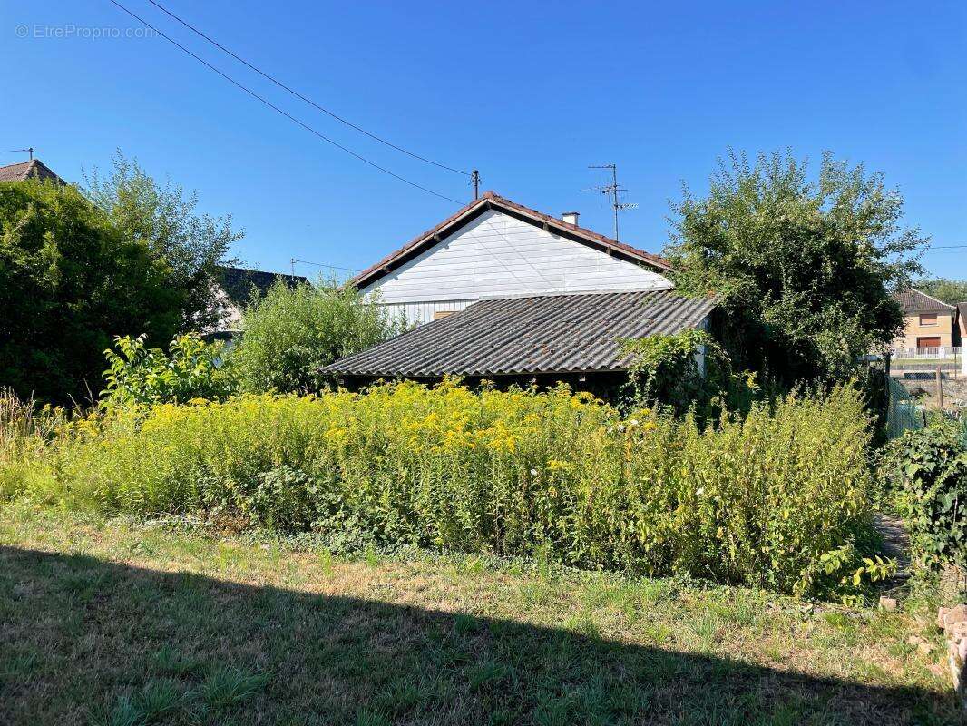 Terrain À Vendre à HERRLISHEIM - photo 3