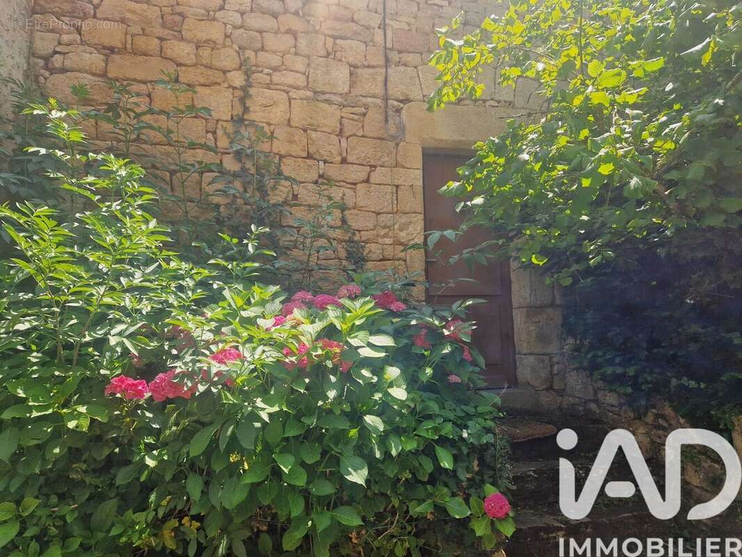Photo 4 - Maison à CALVIAC-EN-PERIGORD