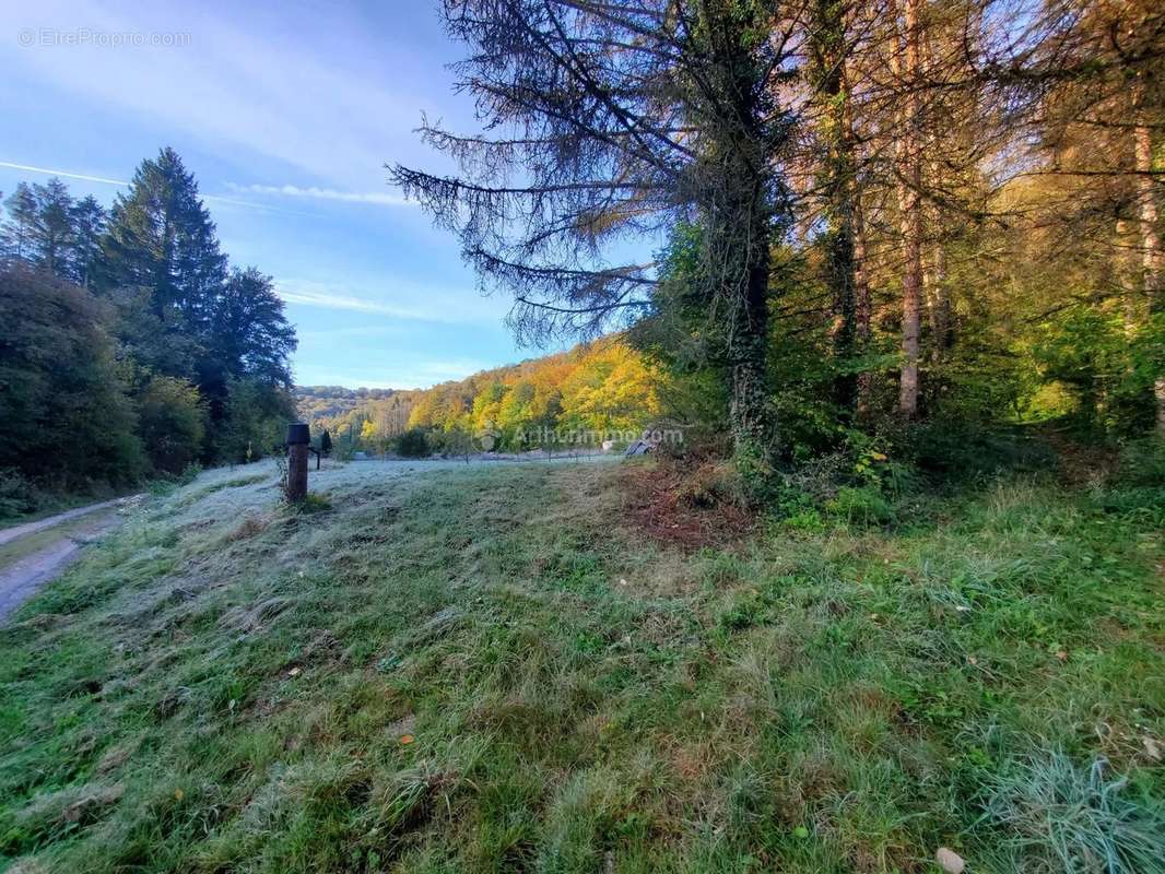 Terrain à DOULAINCOURT-SAUCOURT
