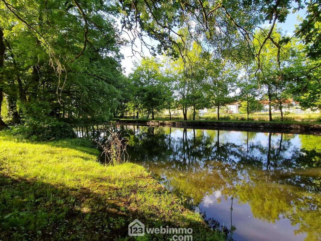 Terrain à VENANSAULT