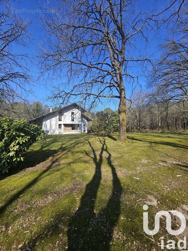 Photo 4 - Maison à SORT-EN-CHALOSSE