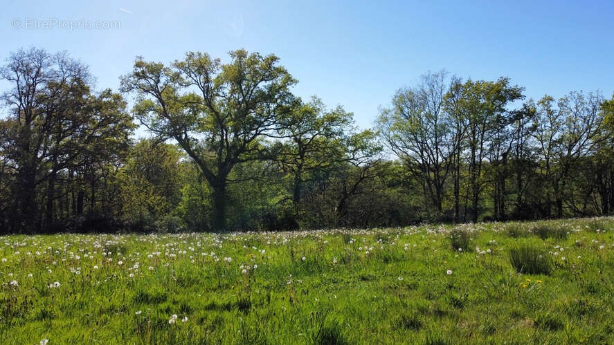 Terrain à GIGOUZAC
