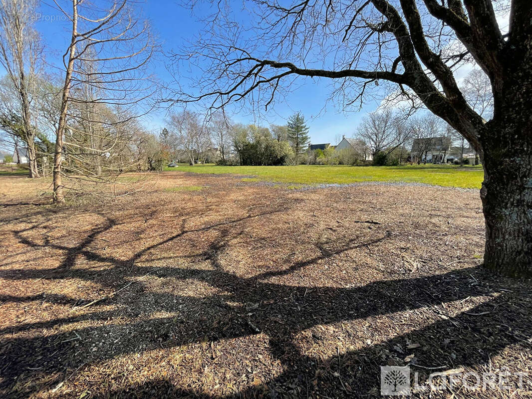 Terrain Merlevenez 450 m² - photo 2