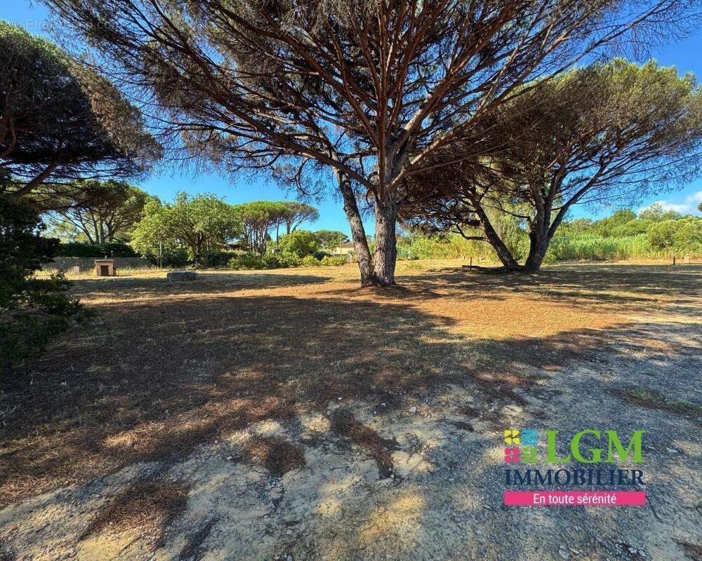 Maison à RAMATUELLE