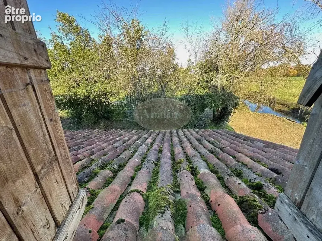 Ferme au calme 1,4 ha - photo 26
