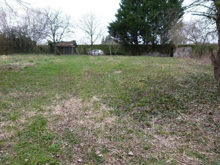 Terrain à MONTREM