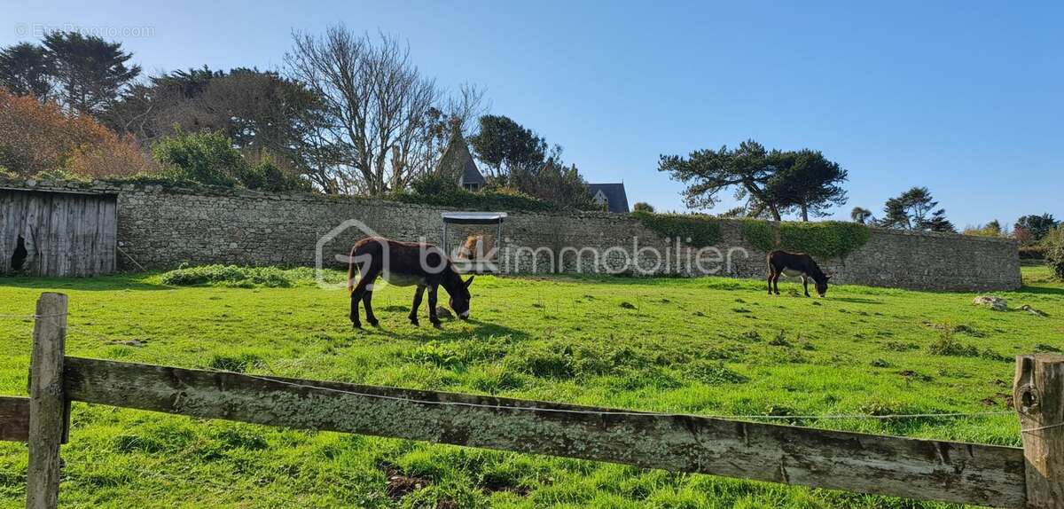 Maison à PLOUGASNOU